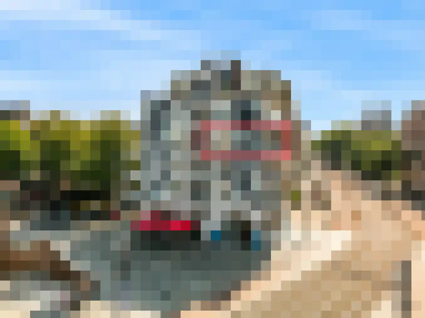 Weteringschans 7 C Amsterdam thumbnail 4
