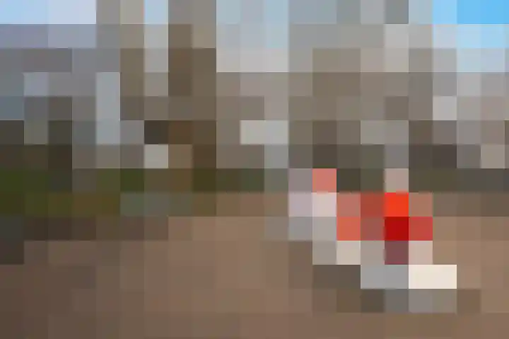 Weteringschans 70 D Amsterdam thumbnail 25