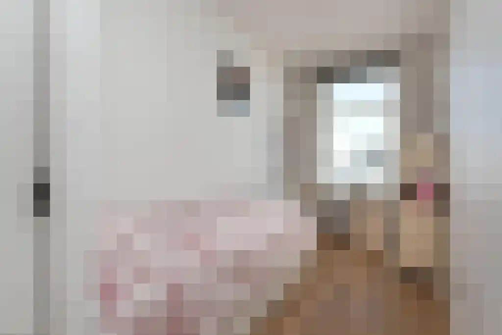 Weteringschans 80 3 Amsterdam thumbnail 13