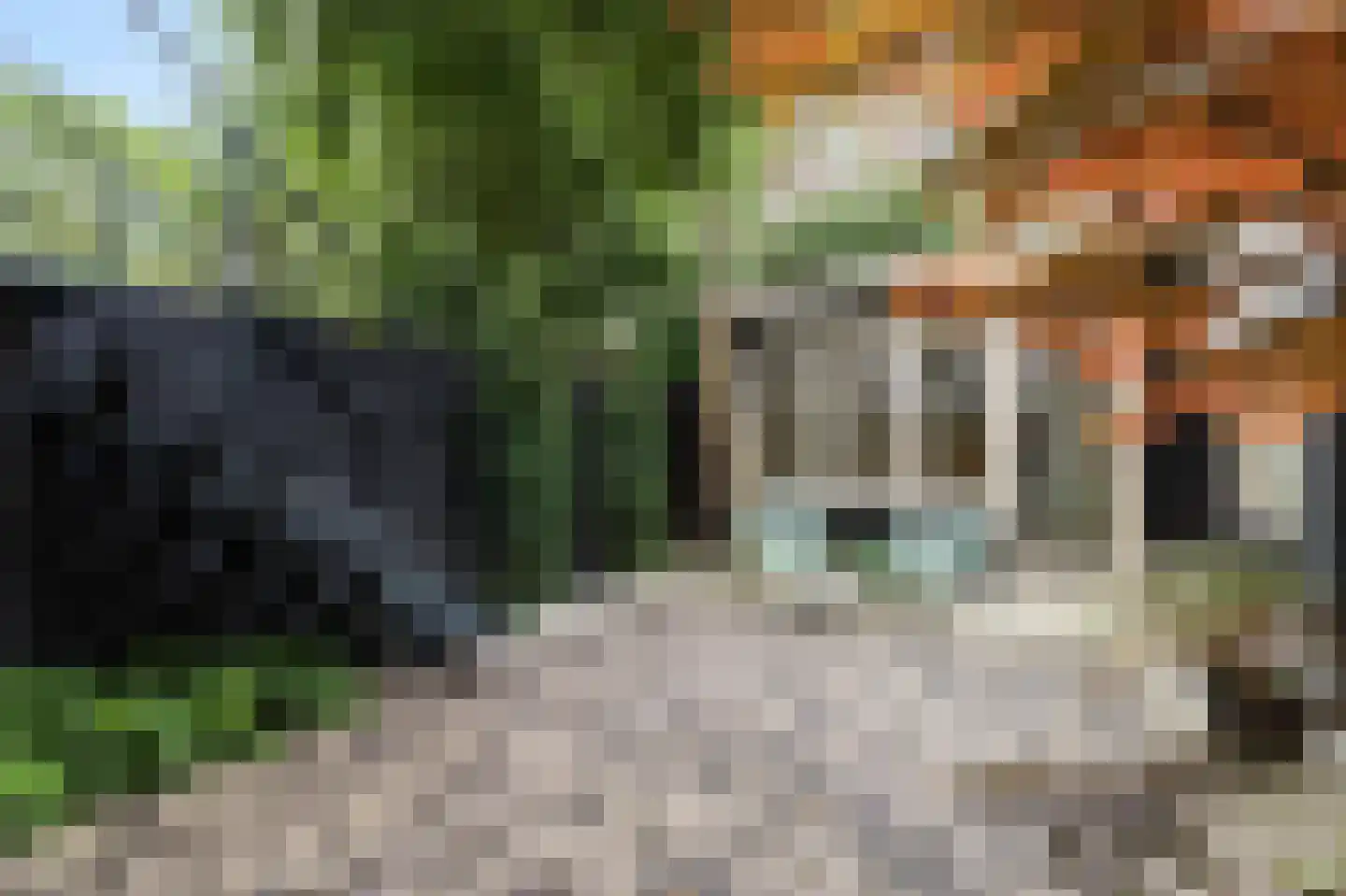 Weteringschans 84 C Amsterdam thumbnail 25