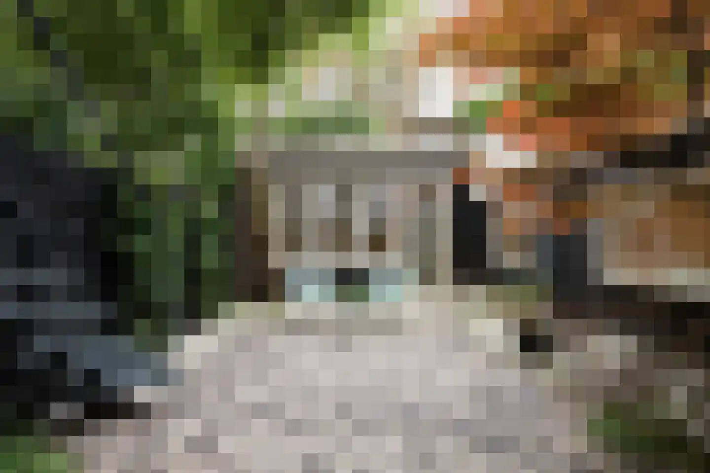 Weteringschans 84 C Amsterdam thumbnail 26