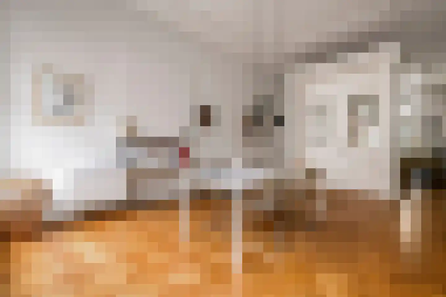 Weteringschans 92 2 Amsterdam thumbnail 20