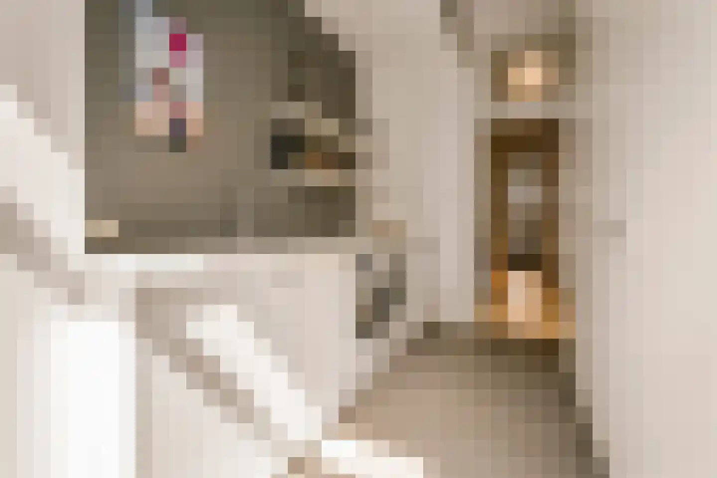 Weteringschans 92 2 Amsterdam thumbnail 23