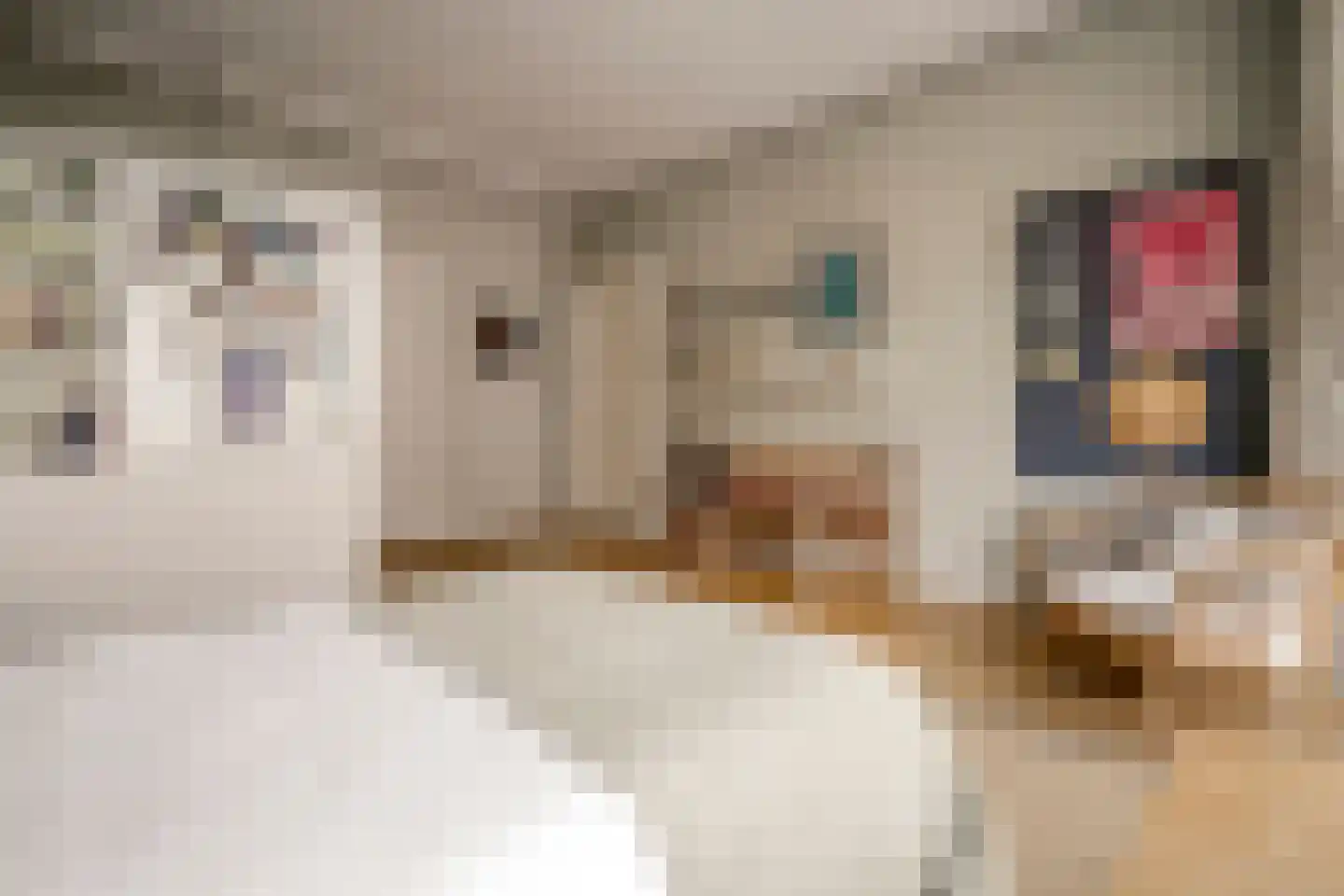 Weteringschans 92 2 Amsterdam thumbnail 32