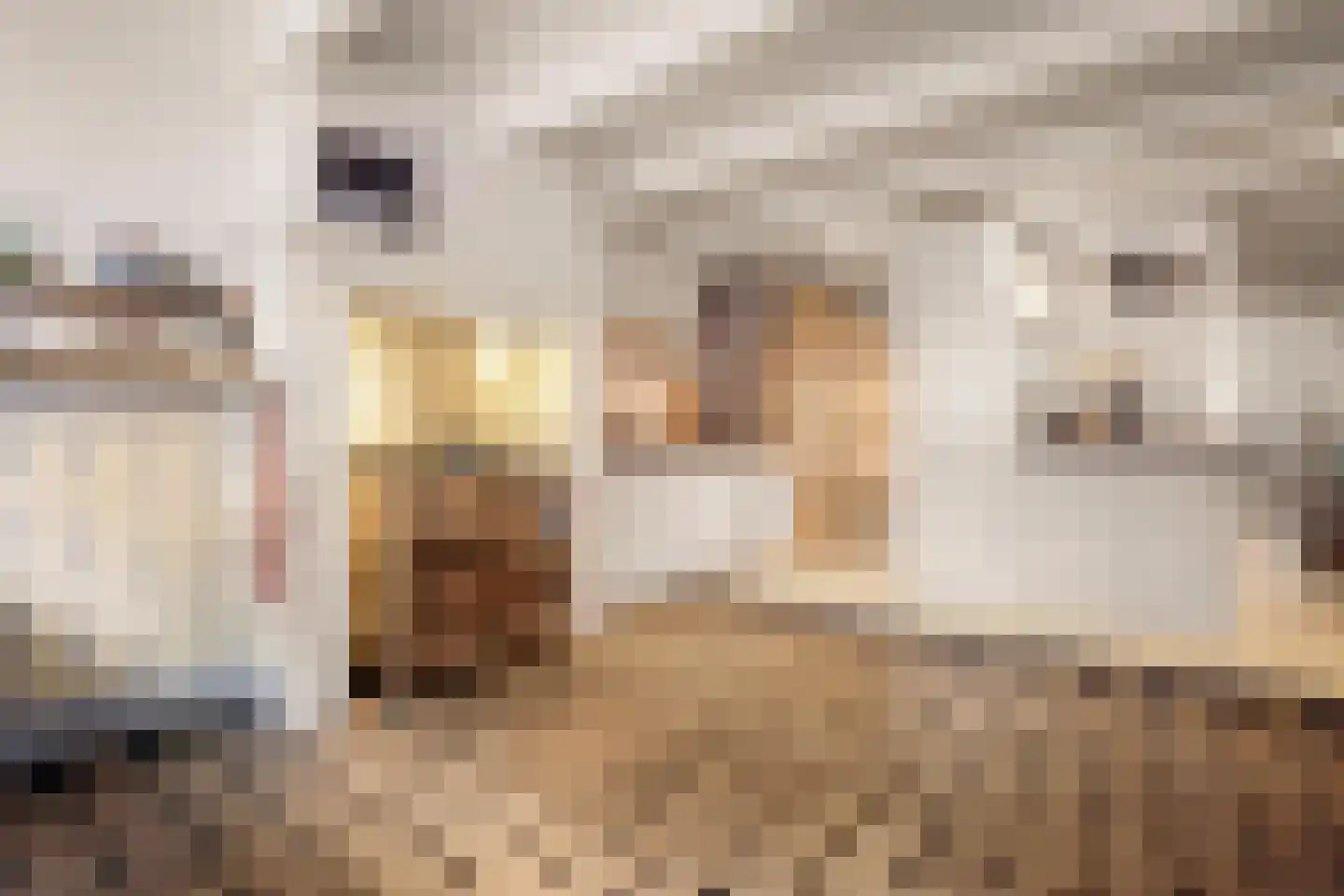 Weteringschans 92 2 Amsterdam thumbnail 68