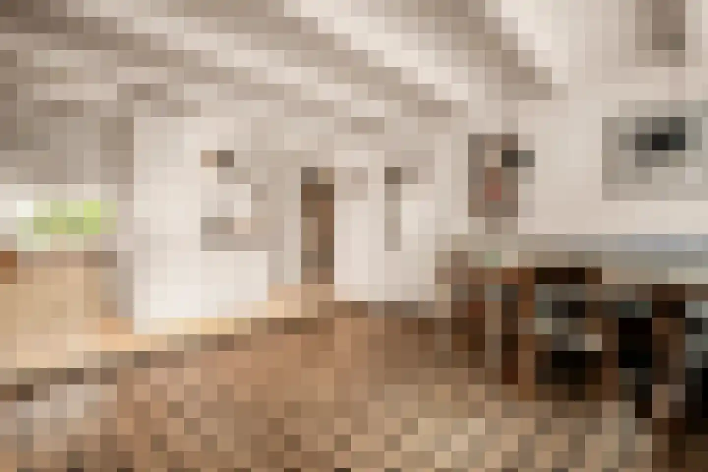 Weteringschans 92 2 Amsterdam thumbnail 70