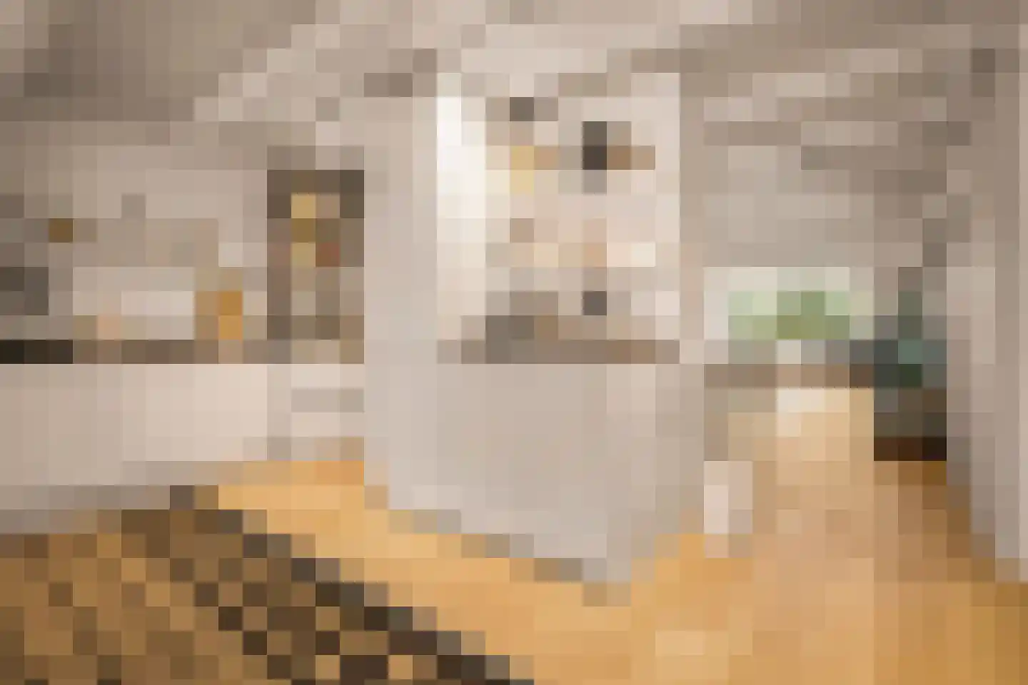 Weteringschans 92 2 Amsterdam thumbnail 72