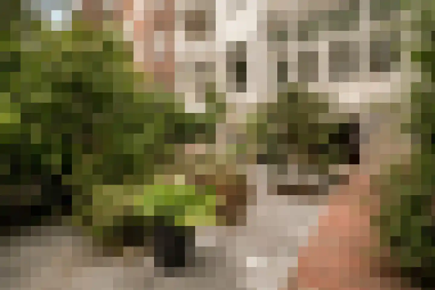 Weteringschans 92 2 Amsterdam thumbnail 85