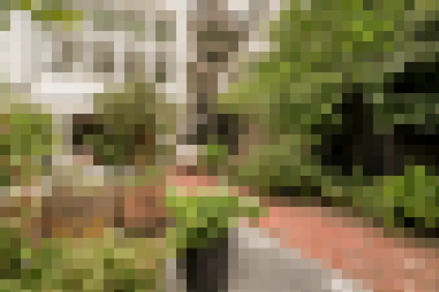 Weteringschans 92 2 Amsterdam thumbnail 86