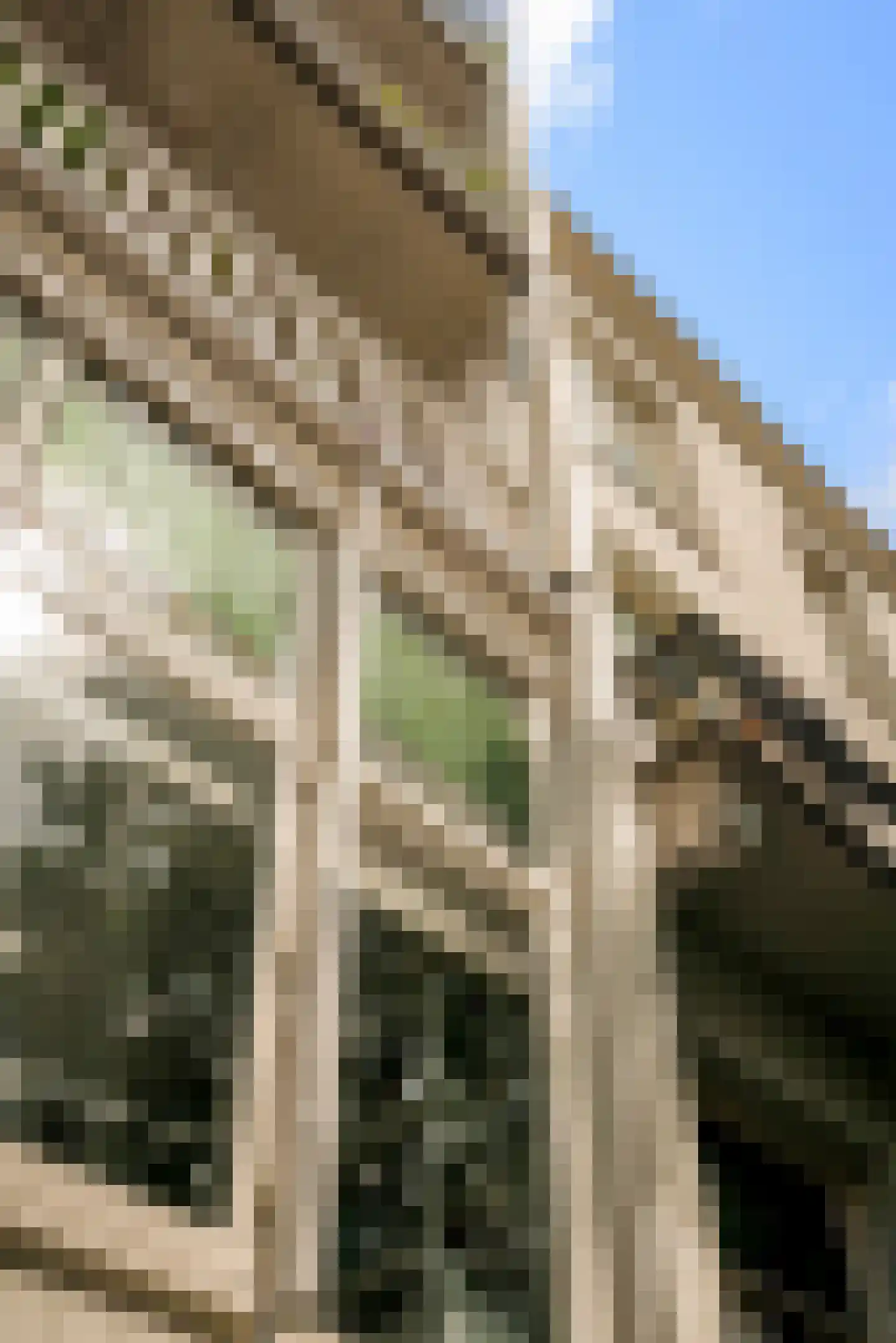 Weteringschans 92 2 Amsterdam thumbnail 89