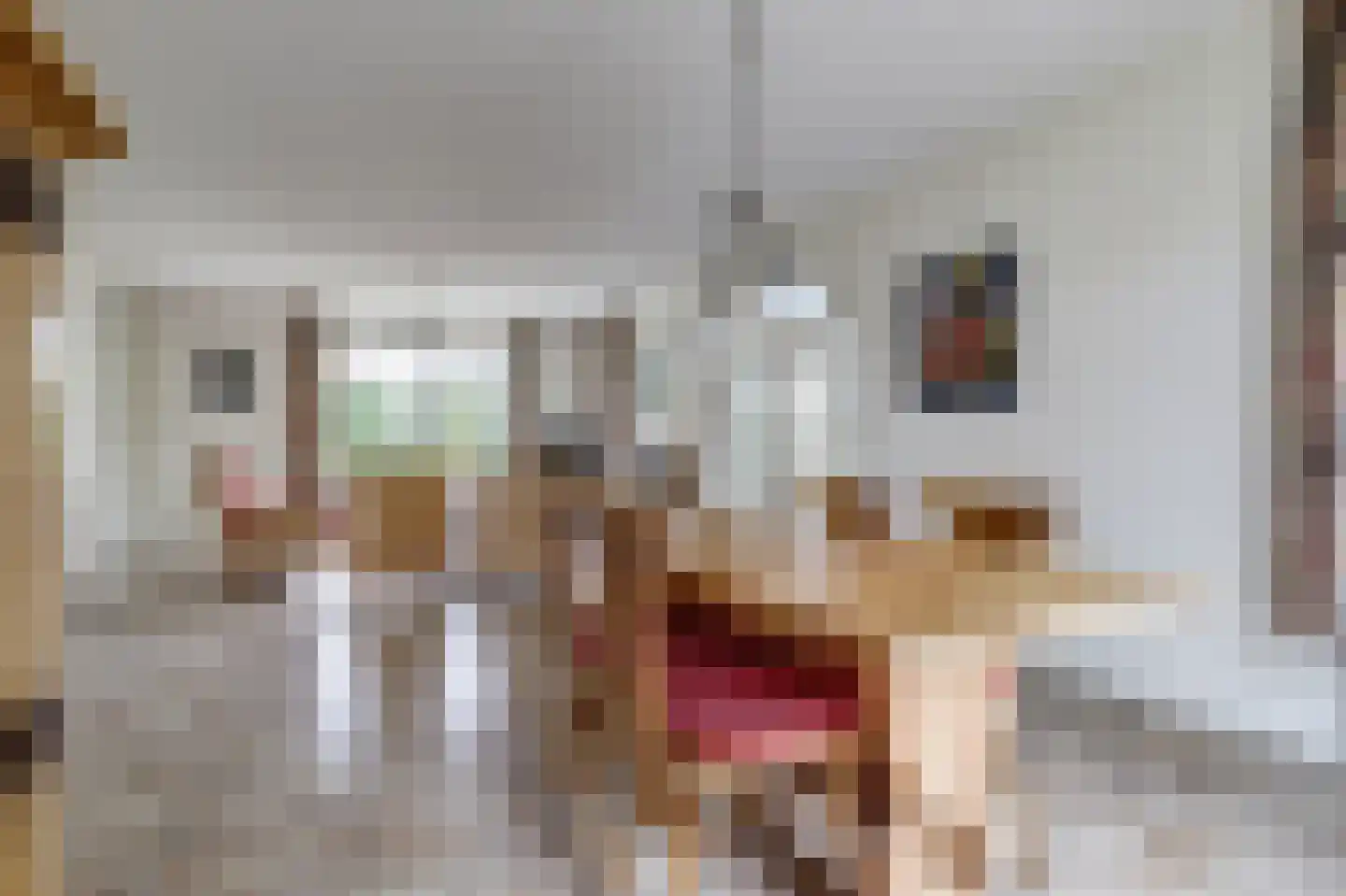 Weteringshoek 2 Rossum thumbnail 10