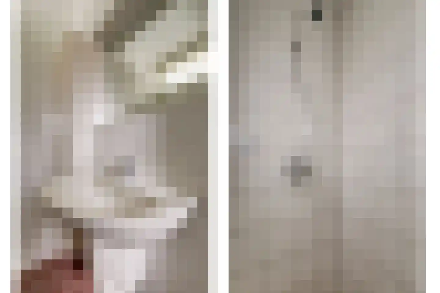 Weteringshoek 2 Rossum thumbnail 20