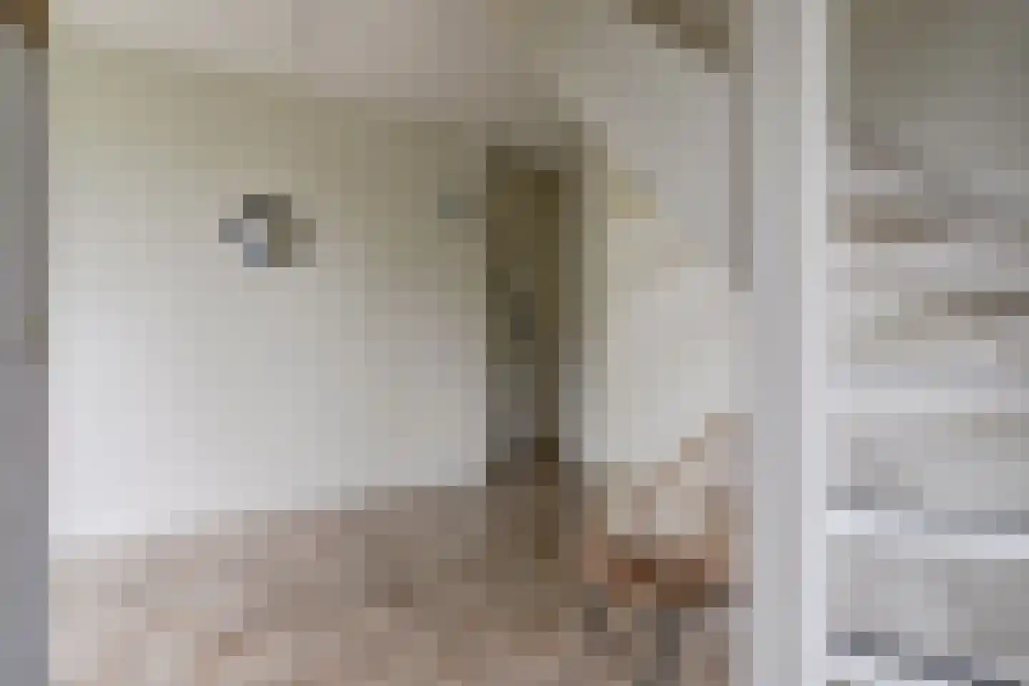 Weteringshoek 2 Rossum thumbnail 23