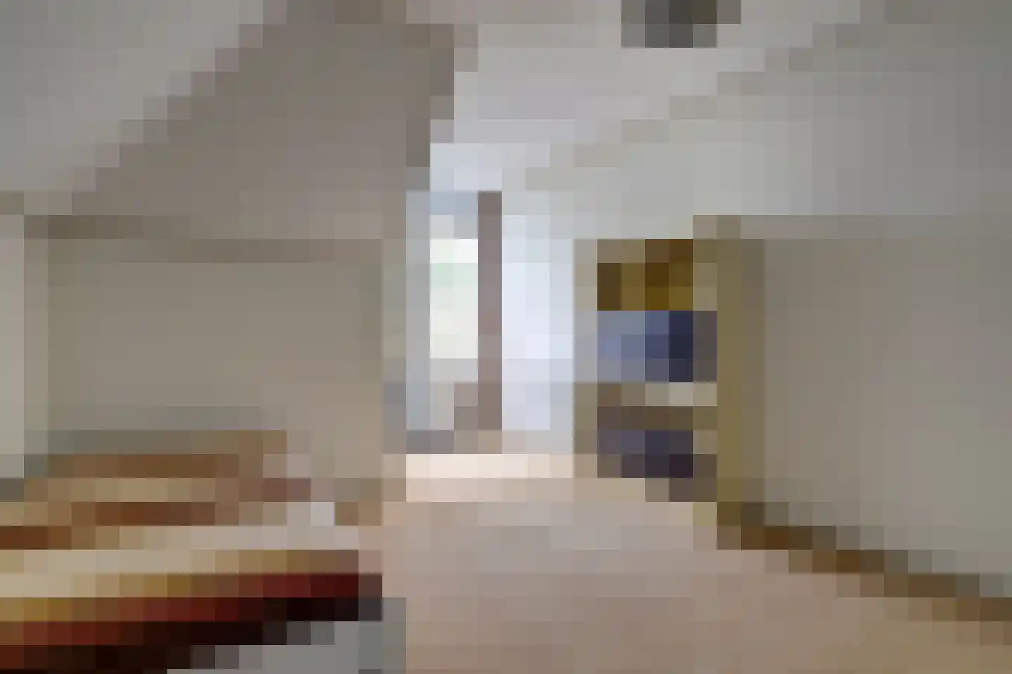 Weteringshoek 2 Rossum thumbnail 34