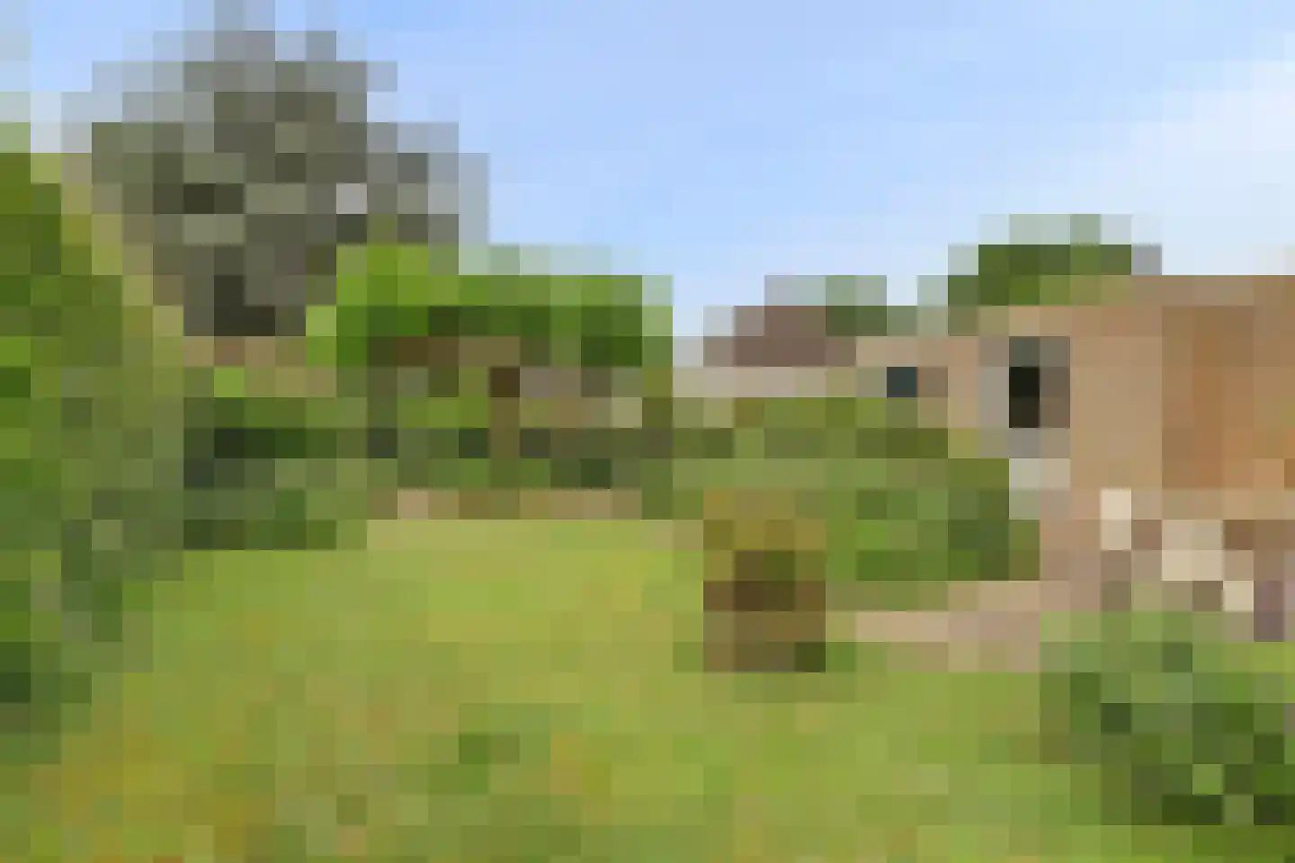 Weteringshoek 2 Rossum thumbnail 43