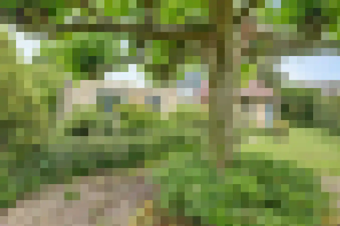 Weteringshoek 2 Rossum thumbnail 44