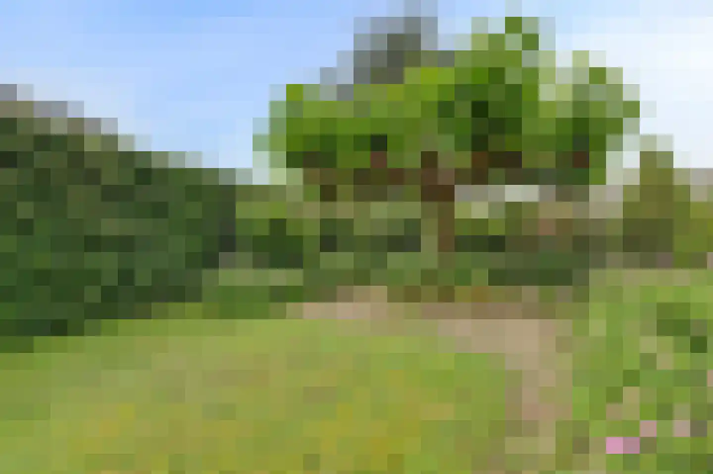 Weteringshoek 2 Rossum thumbnail 45