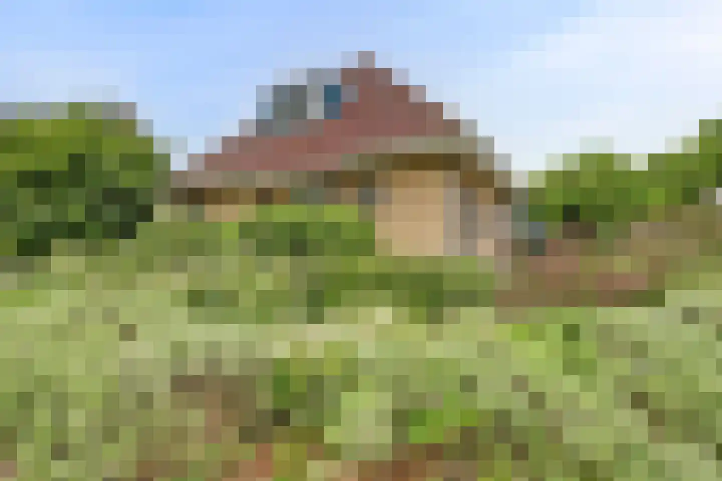 Weteringshoek 2 Rossum thumbnail 50