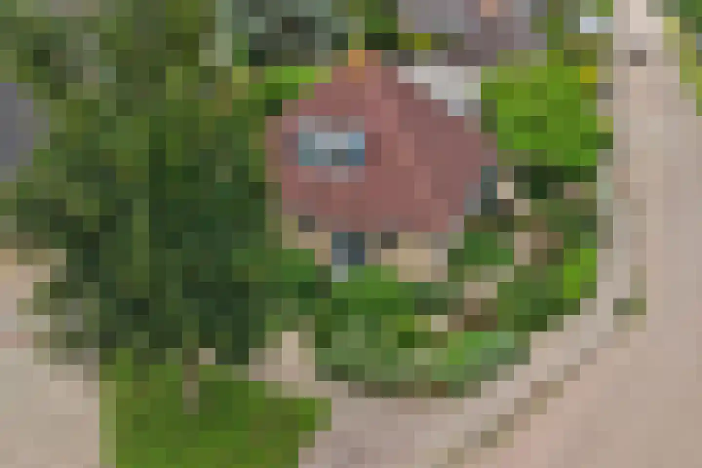 Weteringshoek 2 Rossum thumbnail 51