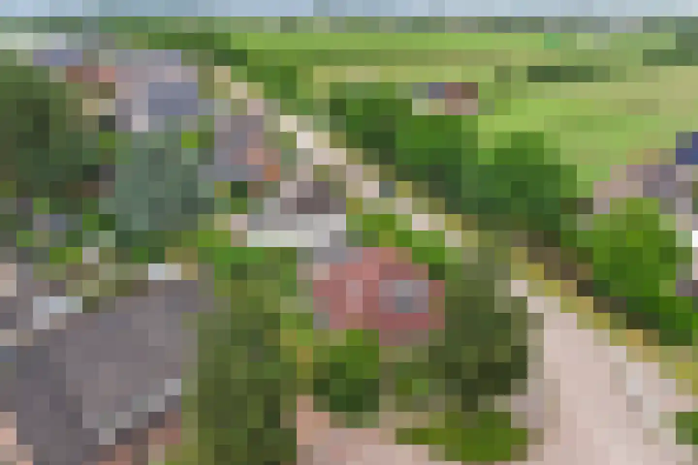 Weteringshoek 2 Rossum thumbnail 52