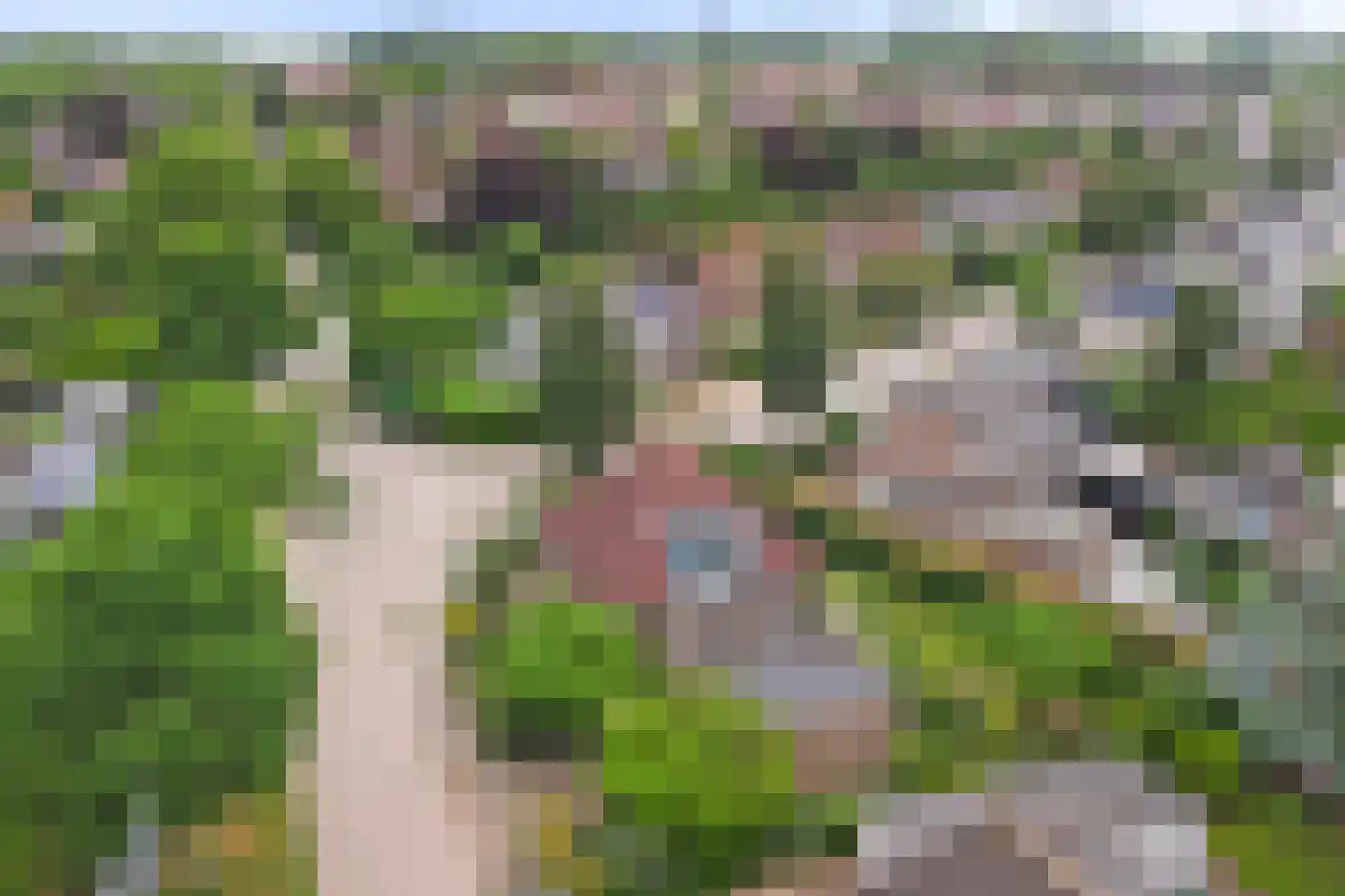 Weteringshoek 2 Rossum thumbnail 53