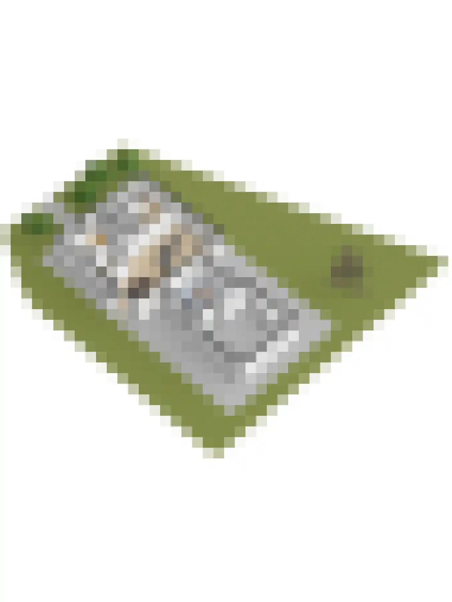Weteringshoek 2 Rossum thumbnail 59