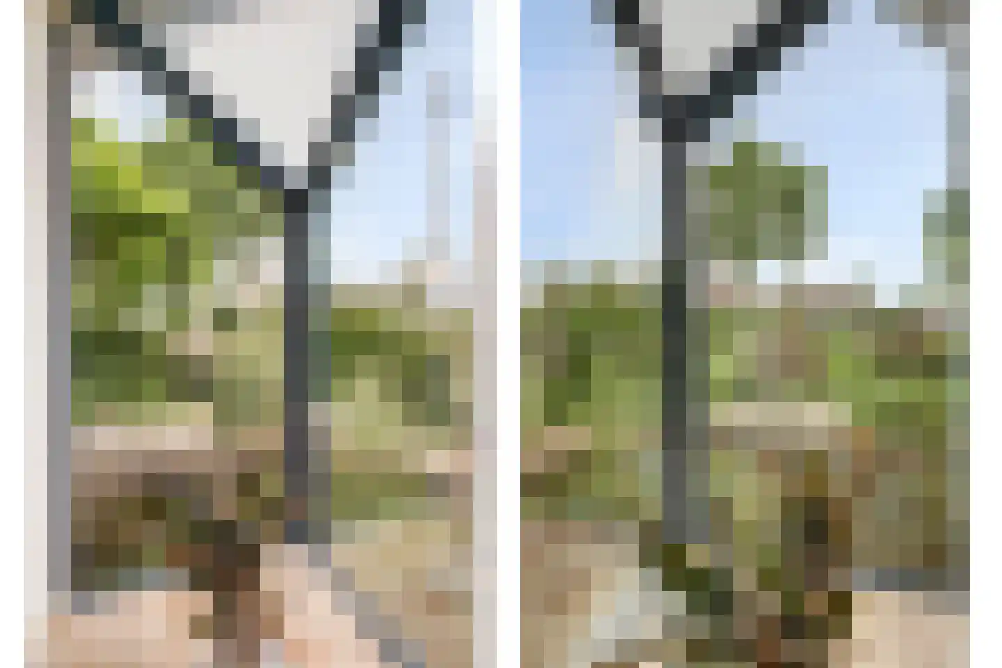 Weteringshoek 2 Rossum thumbnail 9