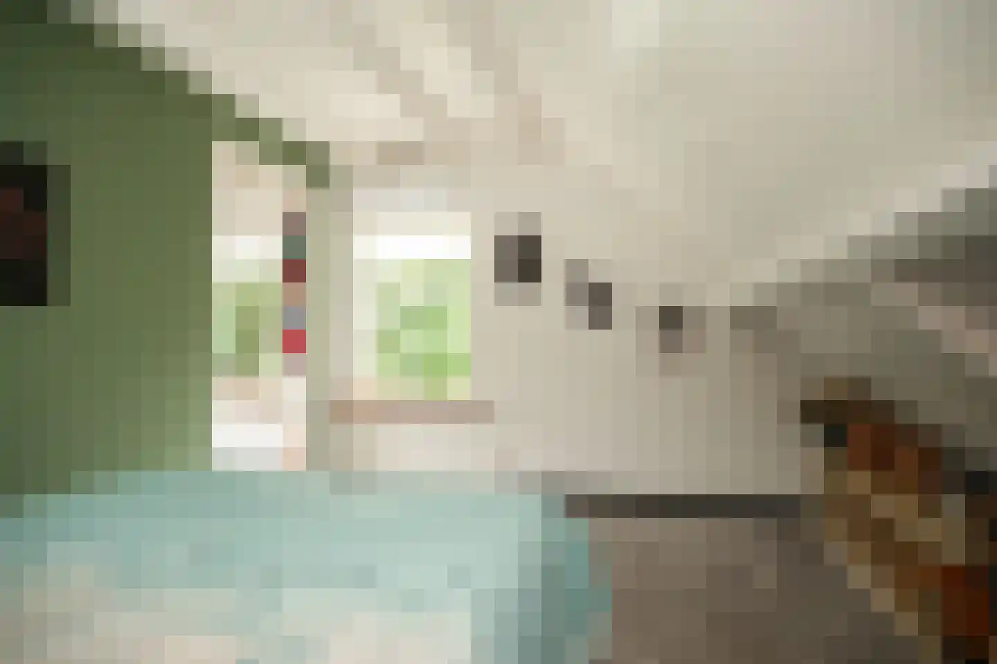 Weteringshoek 21 Rossum thumbnail 21
