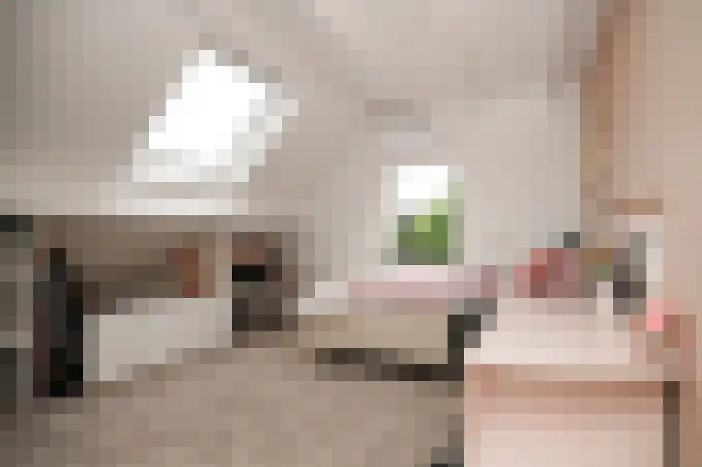 Weteringshoek 21 Rossum thumbnail 26