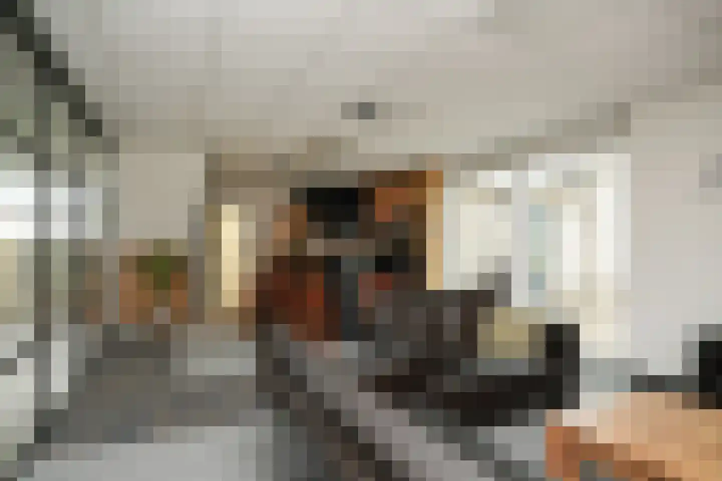 Weteringshoek 21 Rossum thumbnail 32