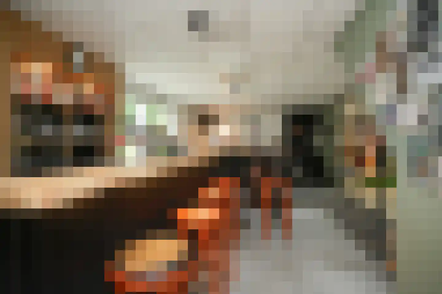 Weteringshoek 21 Rossum thumbnail 33