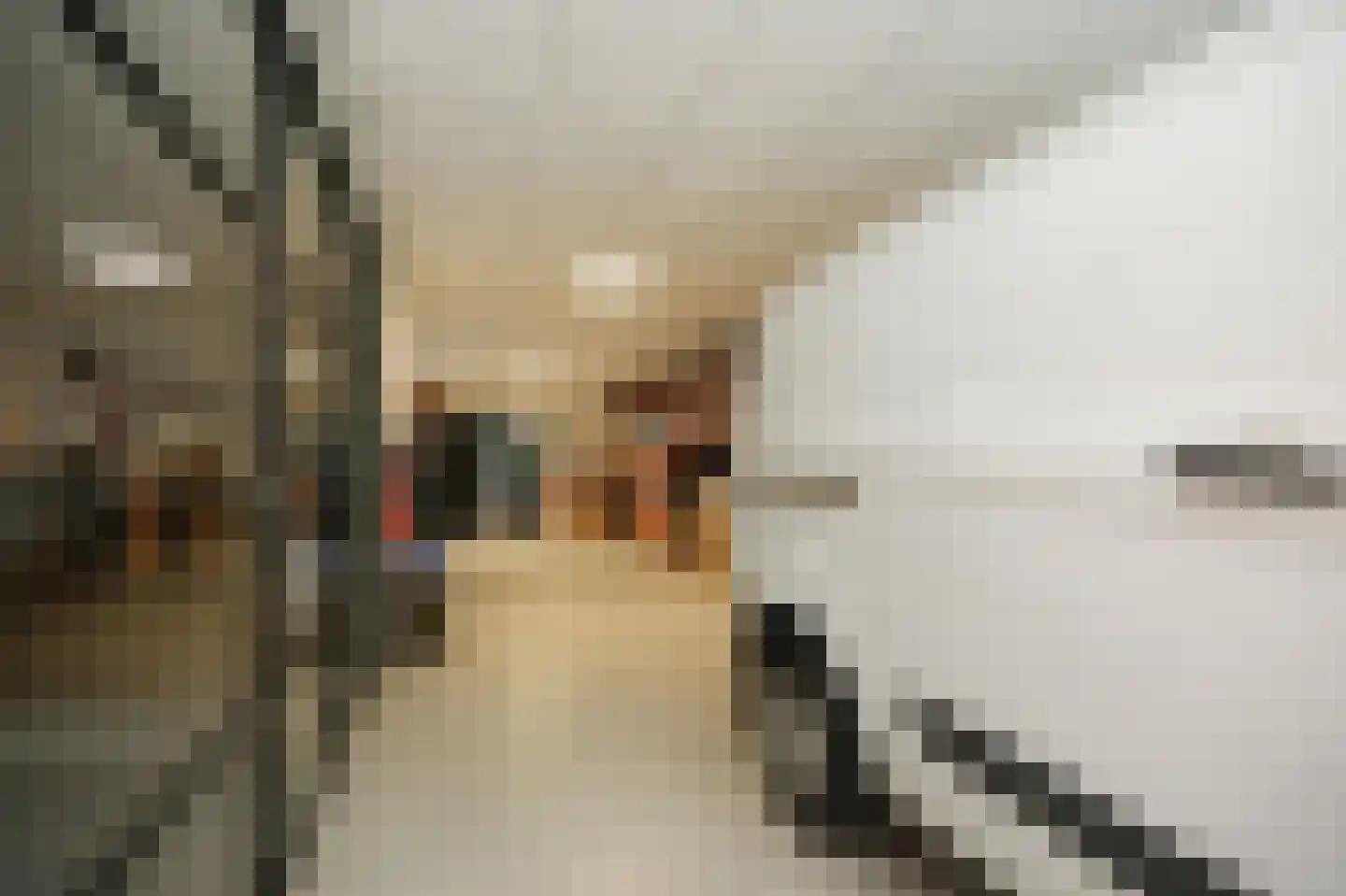 Weteringshoek 21 Rossum thumbnail 43