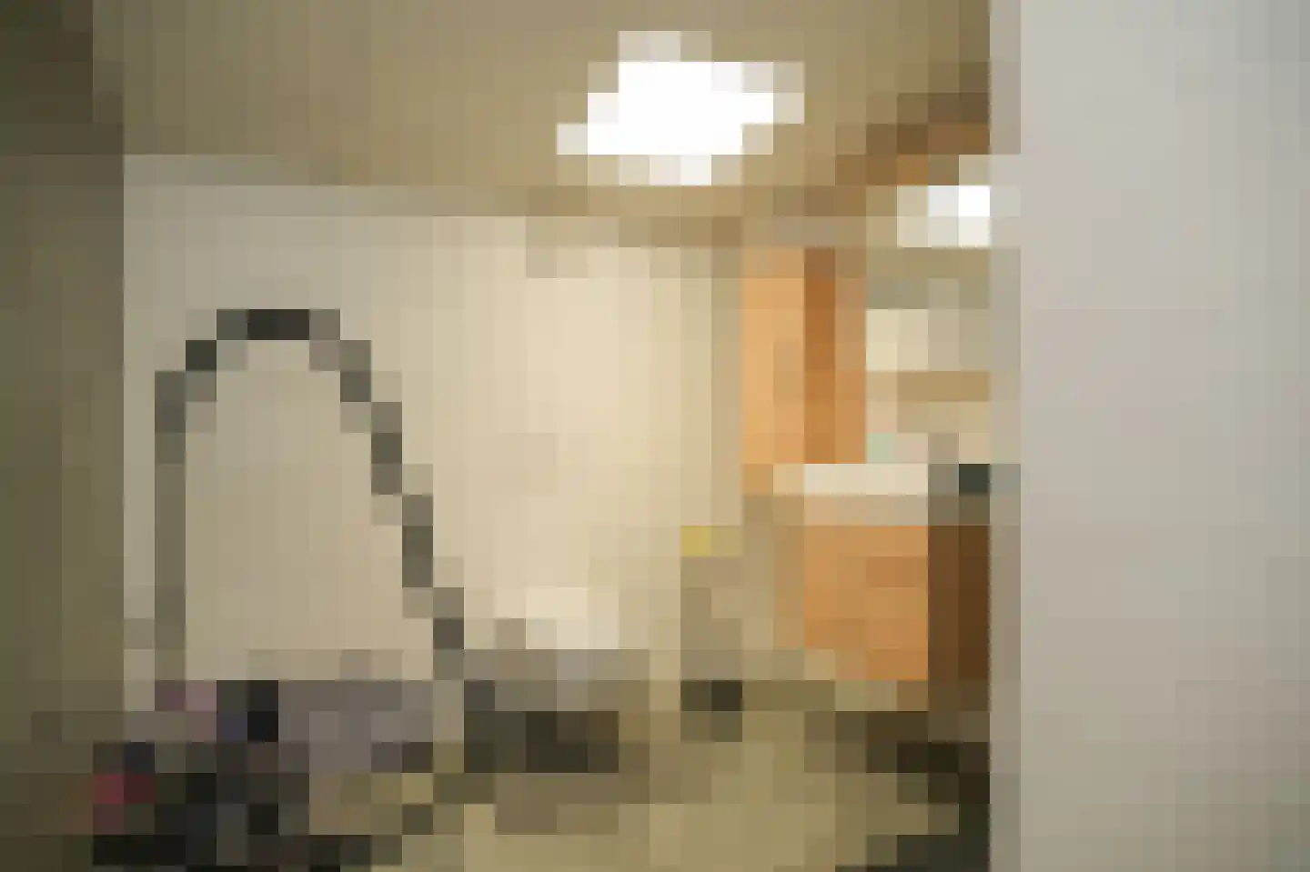 Weteringshoek 21 Rossum thumbnail 48