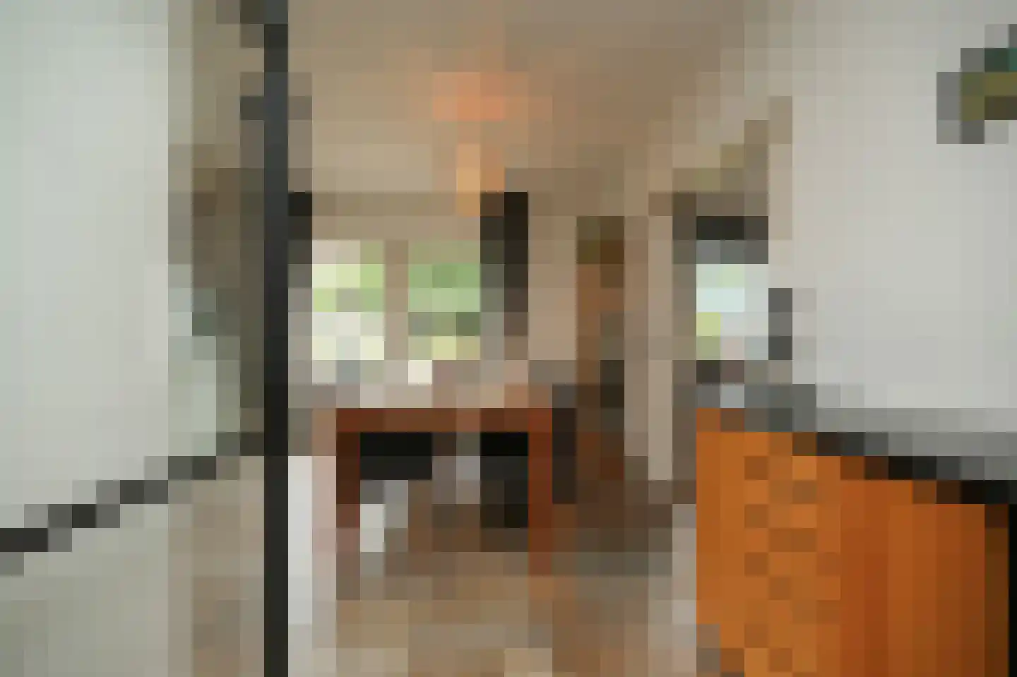 Weteringshoek 21 Rossum thumbnail 6