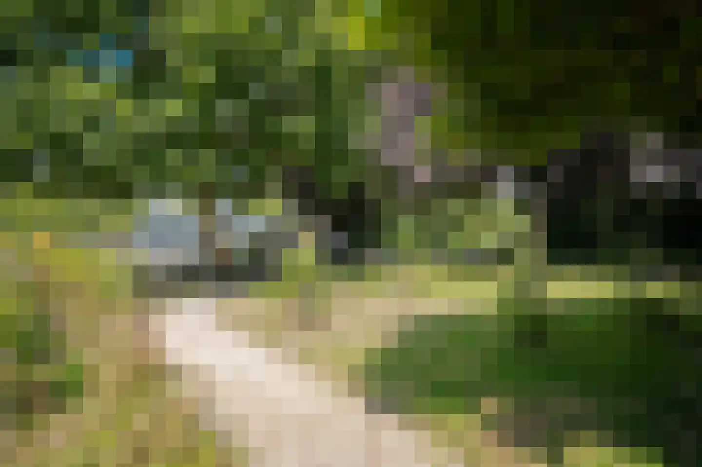 Weteringshoek 21 Rossum thumbnail 60