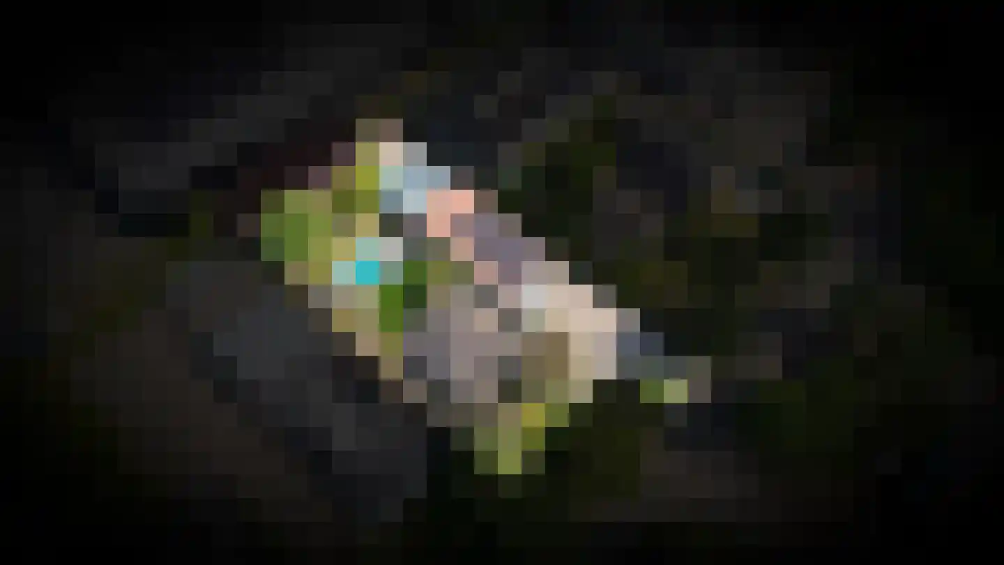 Weteringshoek 21 Rossum thumbnail 74