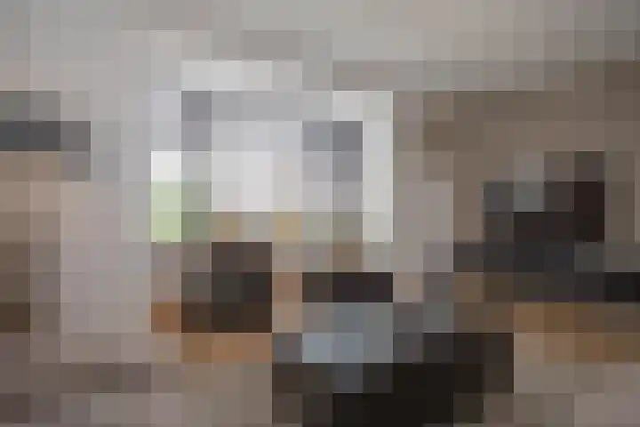 Weteringshoek 24 Aadorp thumbnail 14