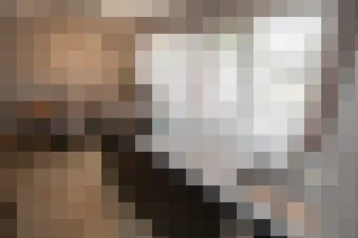 Weteringshoek 24 Aadorp thumbnail 18