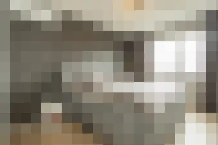Weteringshoek 24 Aadorp thumbnail 22