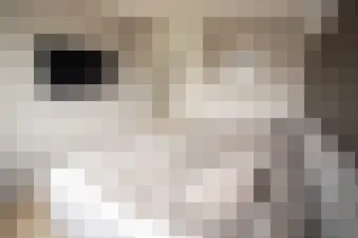 Weteringshoek 24 Aadorp thumbnail 23