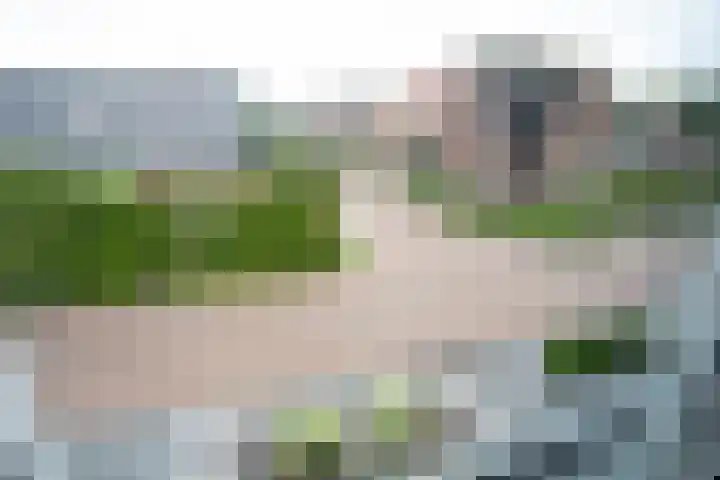 Weteringshoek 24 Aadorp thumbnail 24