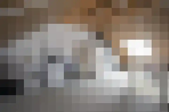 Weteringshoek 24 Aadorp thumbnail 34