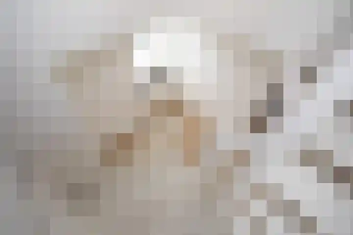 Weteringshoek 24 Aadorp thumbnail 36