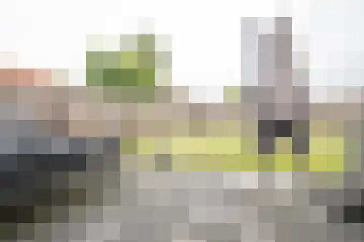 Weteringshoek 24 Aadorp thumbnail 38