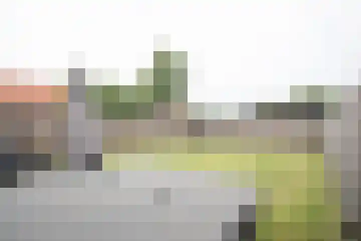 Weteringshoek 24 Aadorp thumbnail 39