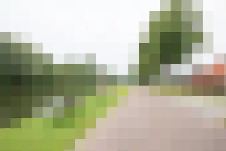 Weteringshoek 24 Aadorp thumbnail 51