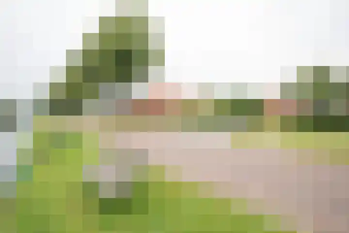 Weteringshoek 24 Aadorp thumbnail 52