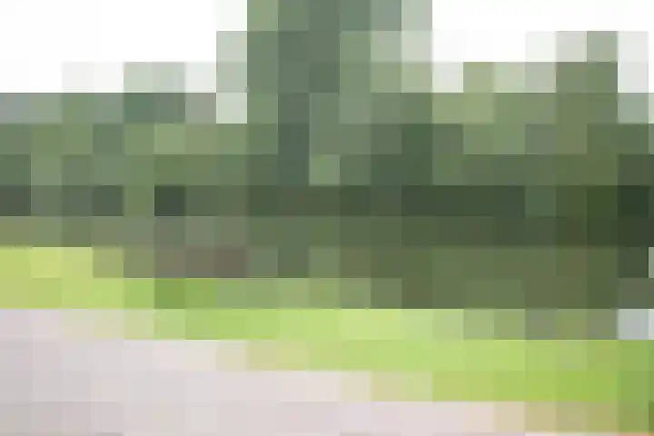 Weteringshoek 24 Aadorp thumbnail 53