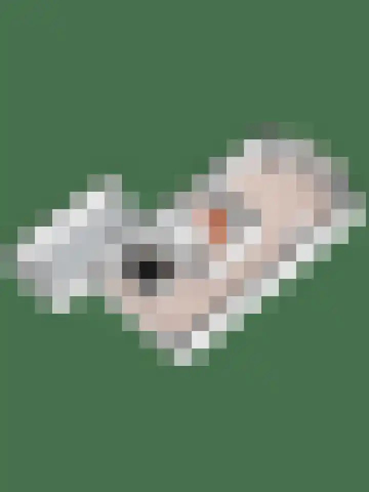 Weteringshoek 24 Aadorp thumbnail 55