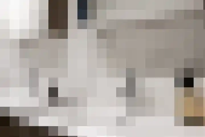 Weteringshoek 24 c Rossum thumbnail 31